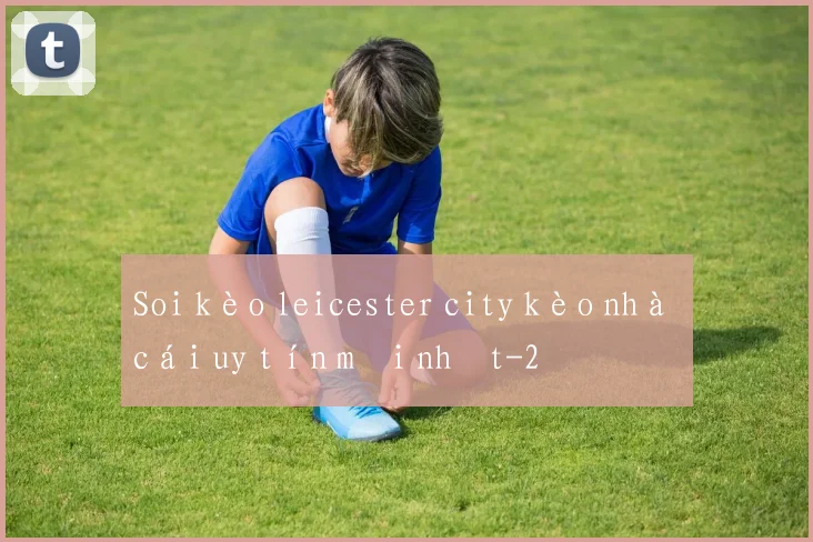 Soi kèo leicester city kèo nhà cái uy tín mới nhất